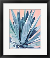 Framed Agave with Coral