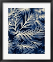 Framed Navy Blue Leaves