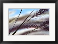 Framed Grasses No. 8