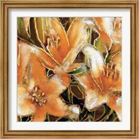 Framed 'Apricot Dream II' border=