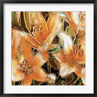 Apricot Dream II Framed Print