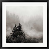 Framed Rising Mist, Smoky Mountains