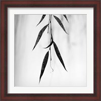 Framed 'Willow Print No. 2' border=