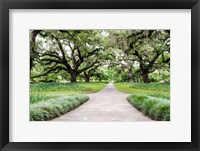 Framed Garden Entrance