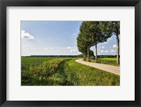 Framed Road Ahead