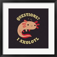 Framed Axolotl Questions