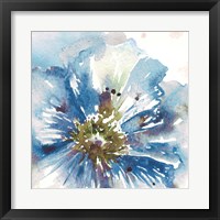 Framed 'Blue Watercolor Poppy Close Up I' border=
