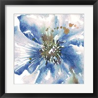 Framed 'Blue Watercolor Poppy Close Up II' border=