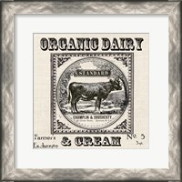 Framed 'Farmhouse Grain Sack Label Cow' border=