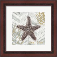 Framed 'Gray Gold Chevron Star Fish' border=