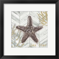 Framed 'Gray Gold Chevron Star Fish' border=