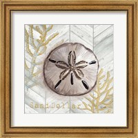 Framed 'Gray Gold Chevron Sand Dollar' border=