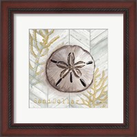 Framed 'Gray Gold Chevron Sand Dollar' border=