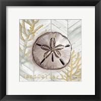 Framed 'Gray Gold Chevron Sand Dollar' border=