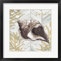 Framed 'Gray Gold Chevron Conch Shell' border=