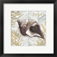 Framed 'Gray Gold Chevron Conch Shell' border=