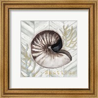 Framed 'Gray Gold Chevron Nautilus Shell' border=