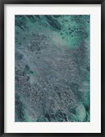 Innate Sense II Framed Print