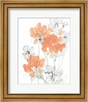 Framed 'Blush Peonies II' border=