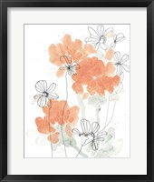 Blush Peonies II Framed Print