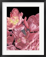 Peonies of My Heart II Framed Print