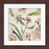 Framed 'Blush Pink Blooms II' border=