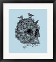 Framed Skull Nest