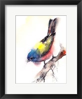 Framed Bunting Bird