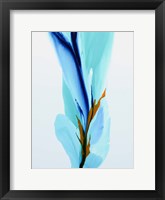 Framed Spring's Calling Card