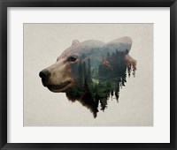 Framed Pacific Northwest Black Bear