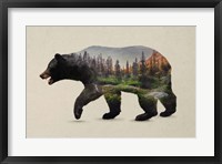 Framed North American Black Bear