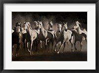 Framed Dream Horses