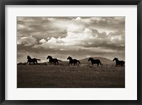 Framed Racing the Clouds