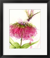 Framed Dragonfly and Zinnia