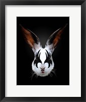 Framed Rabbit Rocks