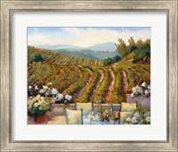 Framed Vineyards to Mount St. Helena