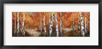 Framed Autumn Birch II