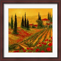 Framed 'Poppies of Toscano I' border=