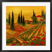 Framed Poppies of Toscano I