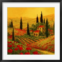 Poppies of Toscano II Framed Print
