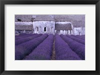 Framed Lavender Abbey