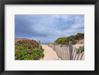 Framed Rose Path