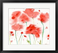 Framed Poppy Reds