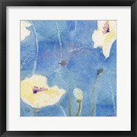 Framed White Poppy