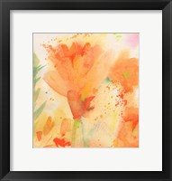 Framed Windblown Poppies #2