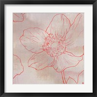 Framed 'Anemone II' border=