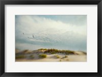 Framed Dunes 1