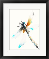 Framed Blue & Brown Dragonfly