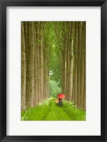 Framed Two Umbrellas, Belgium