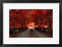 Framed Bridge (Red)